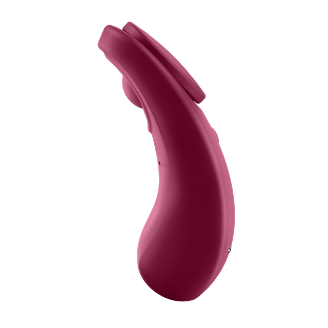 Sexy Secret Panty Vibrator with App