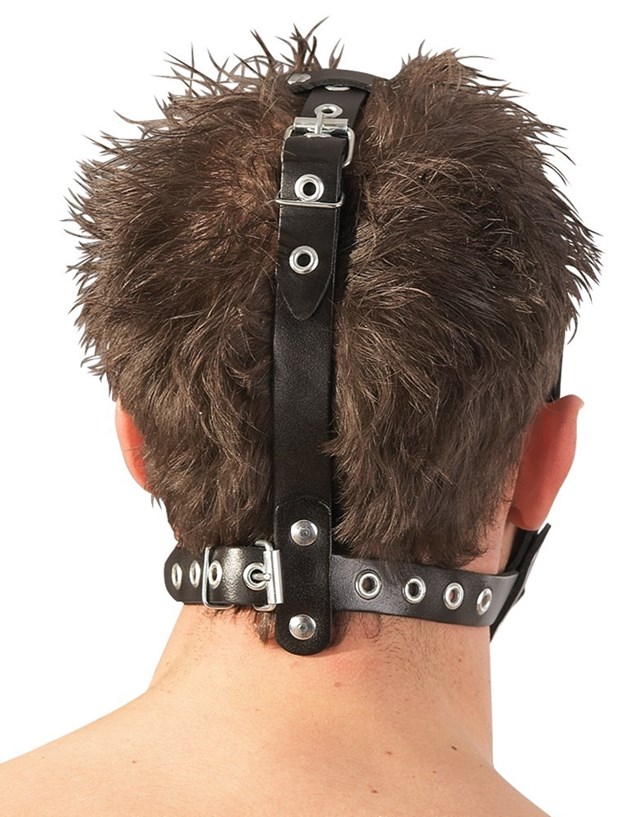 Head Harness with dildo and gag