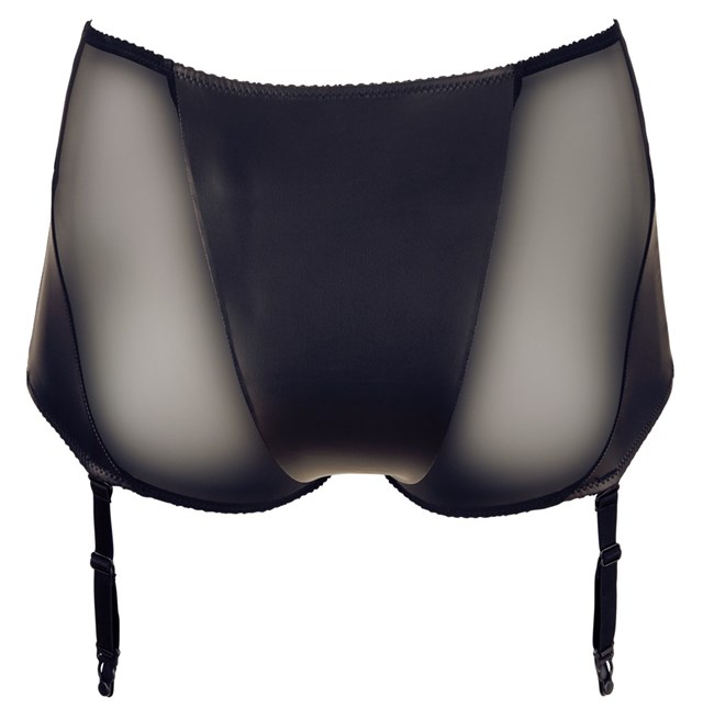 Briefs with Suspenders