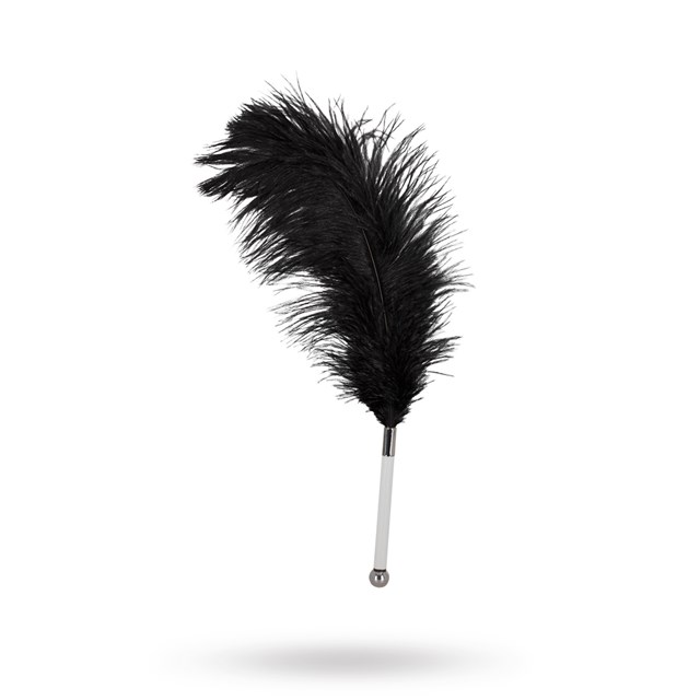 Feather Wand