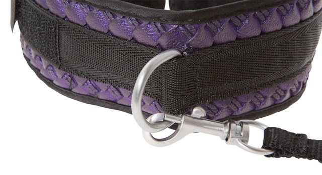 Purple Bondage Set