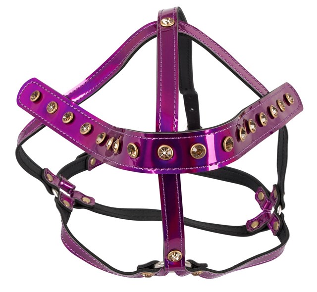 Designer Head Harness