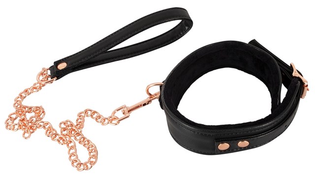 Collar with Leash - Black & Gold