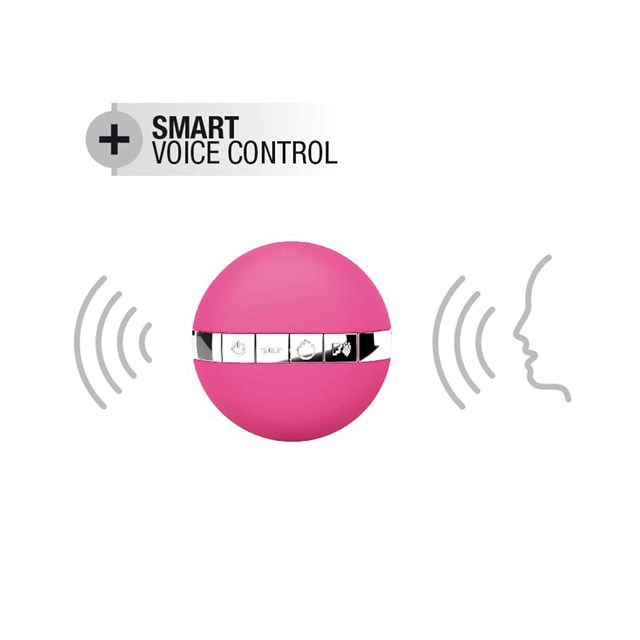 Secret Delight - Vibrerende Egg Med Stemmekontroll