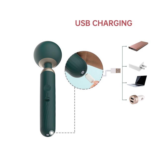 ZENITH APP CONTROLLED CORDLESS SMART WAN