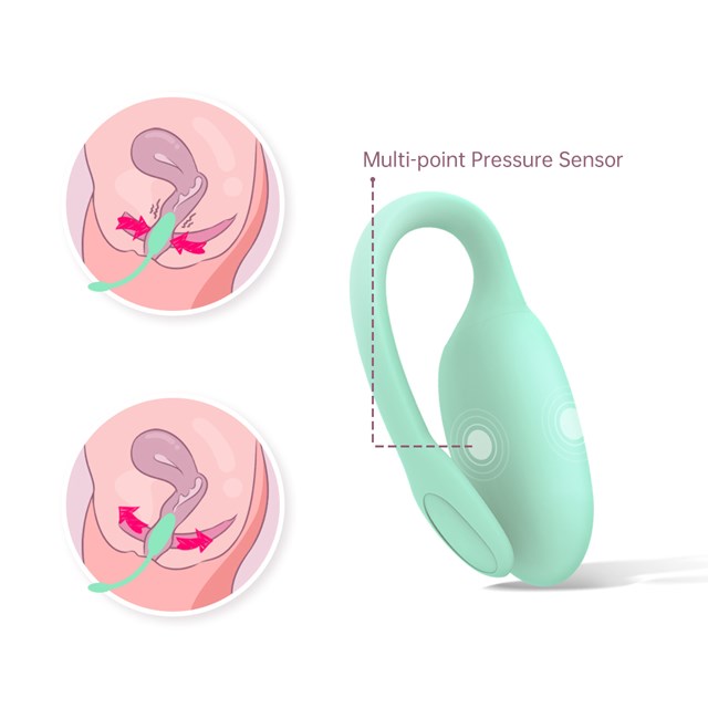 FITCUTE KEGEL REJUVE