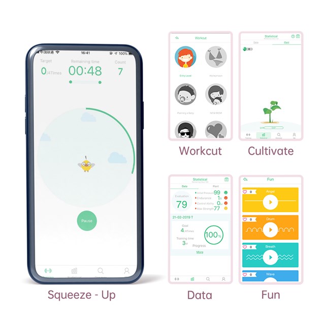 FITCUTE KEGEL REJUVE