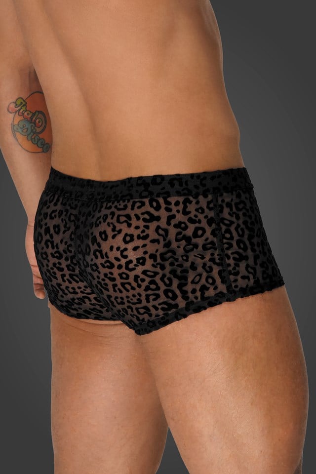 H072 Leopard flock shorts