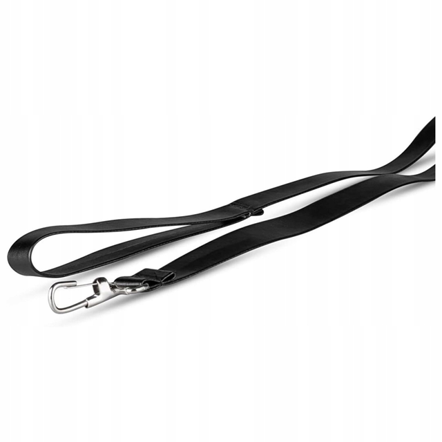 Hidden Desire BDSM Chest