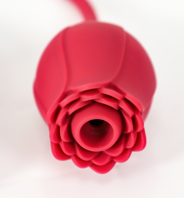 RED ROSE SUCTION + VIBRATING BULLET