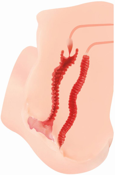 Kokos Hanna Onahole Masturbator 6,4 kg