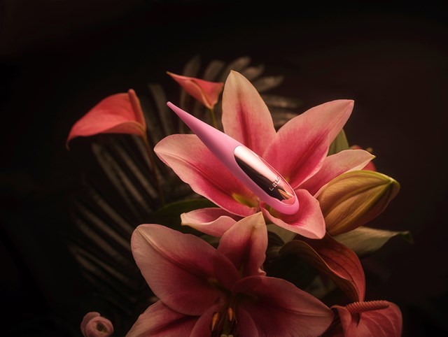 LELO DOT TRAVEL PINK