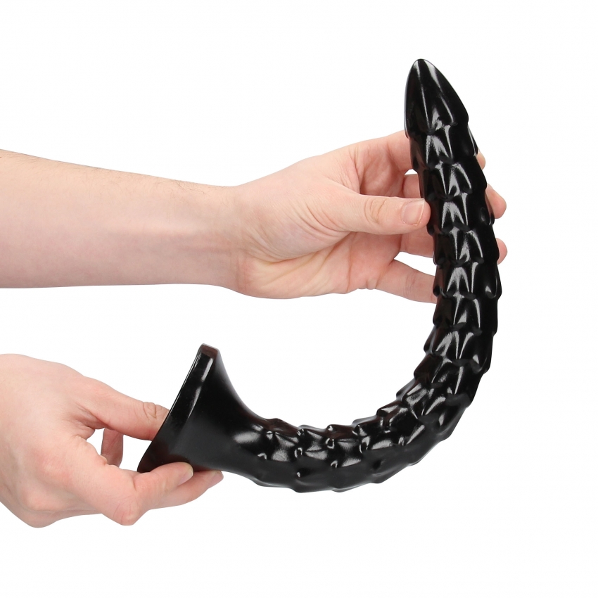 Scaled Anal Snake 30 cm