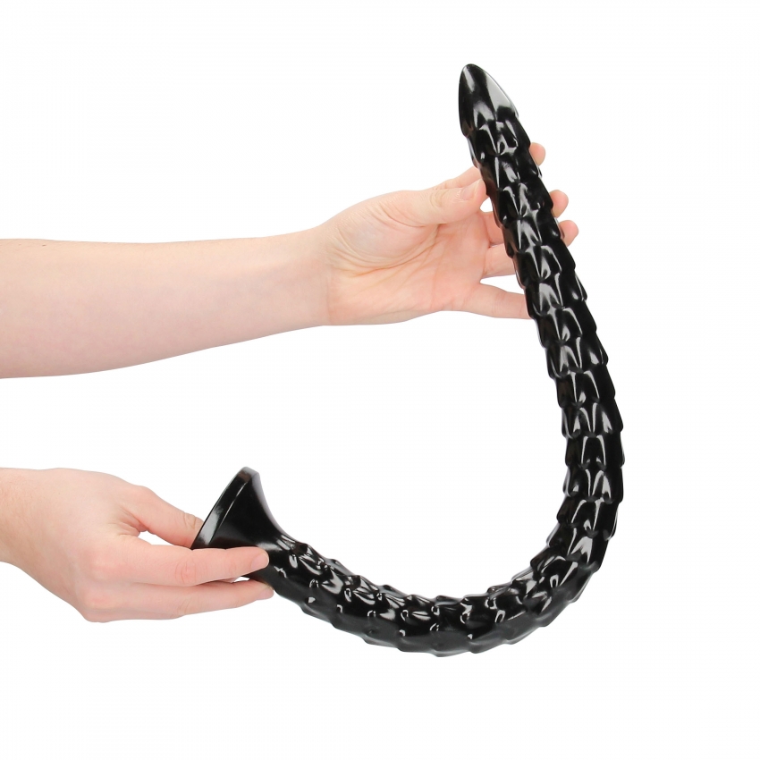 Scaled Anal Snake 50 cm