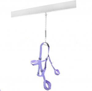 Fantasy Swing