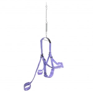 Fantasy Swing