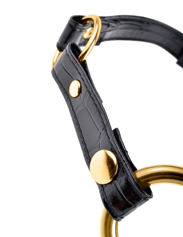 Gold O-ring Gag