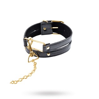 Gold Collar & Leash