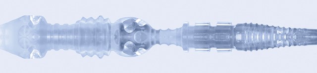 Ice Lady