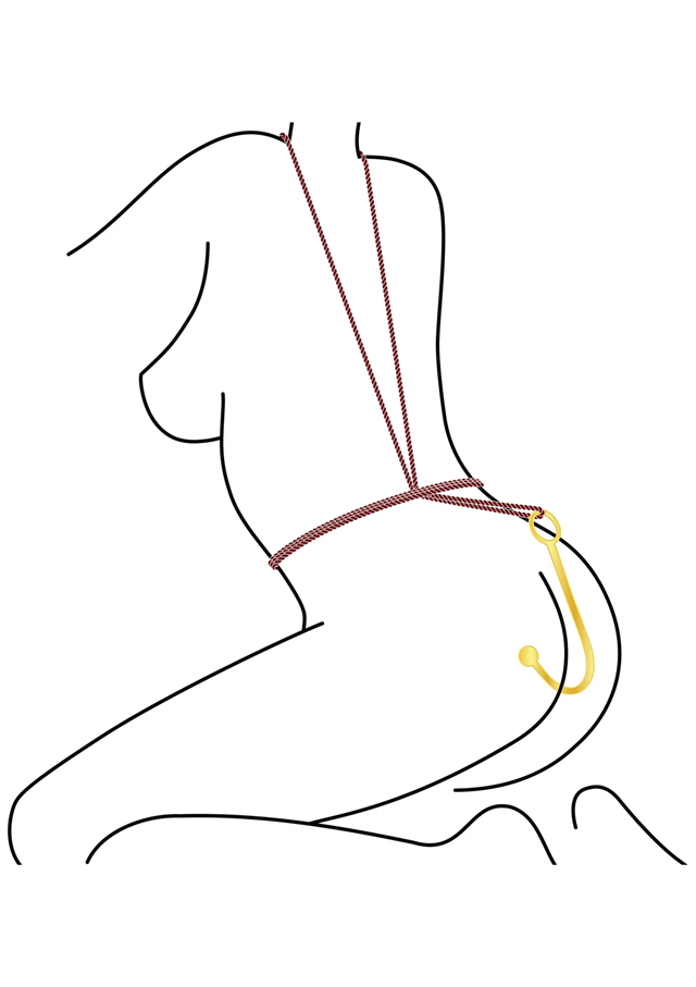 Luxury Anal Hook