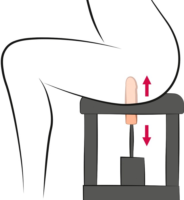 THE BANGER SIT-ON CLIMAXER