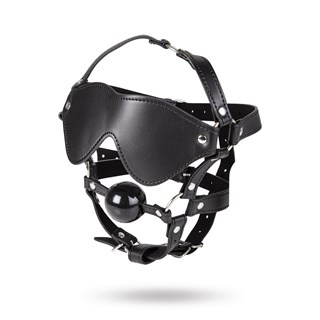 Full Head Blindfold & Ball Gag Set