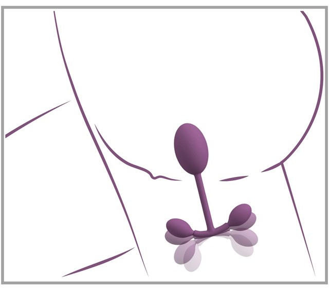 Vaginal Trainer with Bouncing Weights