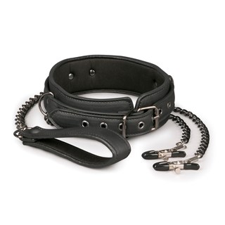 Leather Collar & Nipple Chains